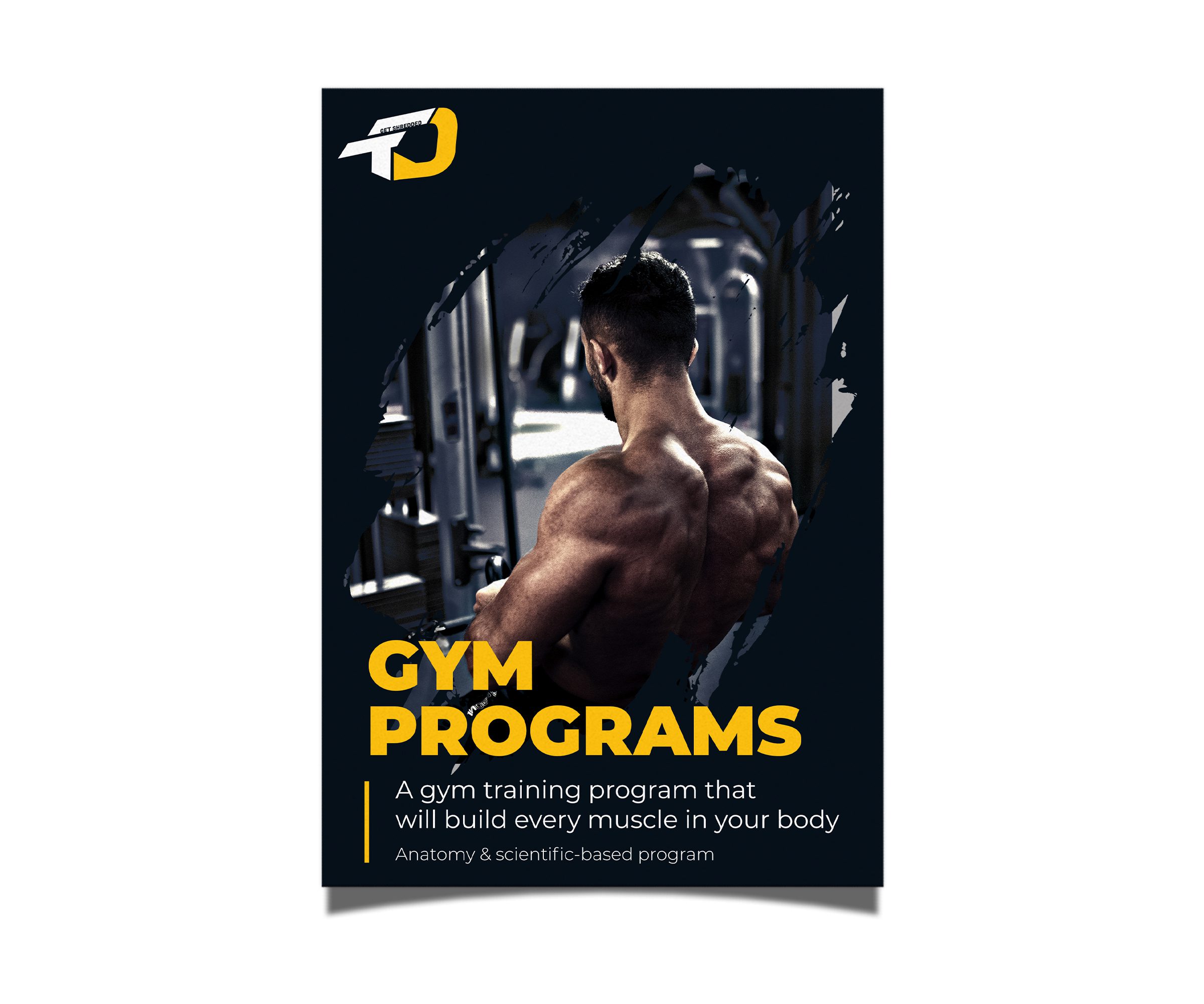 Gym Programs
